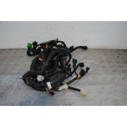 Cablaggio Impianto Elettrico Suzuki Burgman 400 dal 2007 al 2016  1689693983143