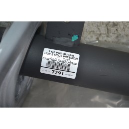Ammortizzatore anteriore DX Peugeot 208 Dal 2012 al 2019 Cod 9801729180  1689949607953