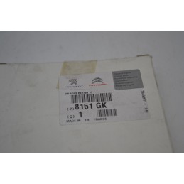 Vetrino Specchietto Retrovisore Esterno Sinistro Peugeot 307 Dal 2001 al 2009 Cod 8151GK  1690278885080