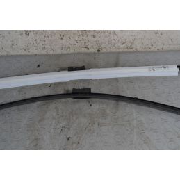 Spazzole Tergicristalli anteriore DX e SX Citroen C4 Picasso dal 2006 al 2013 Cod 6423.60  1690903039192