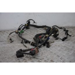 Cablaggio Impianto Elettrico Honda FMX 650 dal 2005 al 2006  1694706573747