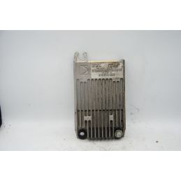 Centralina ECU Peugeot LXR 200 dal 2009 al 2014 COD 325-145-0A  1695898054762