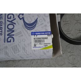 Cinghia Poly-V SsangYong Musso dal 1998 al 2005 Cod 6729970592  1696346258565