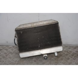 Radiatore + Elettroventola Suzuki Burgman 400 K7 dal 2007 al 2013  1696927489098