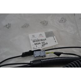 Cablaggio Portrellone Posteriore Citroen C3 dal 2002 al 2009 Cod 9664724980  1696946810682