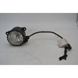 Faro Fendinebbia Anteriore Dx / Sx Fiat Punto EVO dal 2009 al 2012  1697100442206