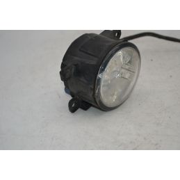 Faro Fendinebbia Anteriore Dx / Sx Fiat Punto EVO dal 2009 al 2012  1697100442206