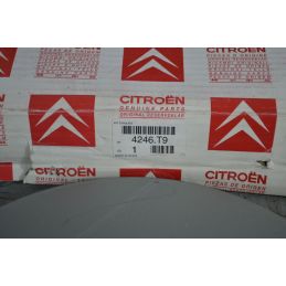 Dischi Freno Anteriori Ventilati Citroen Xsara dal 1995 al 2006 Cod 4246.t9  1697617831531