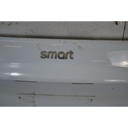 Pannello Portellone Bagagliaio Posteriore Smart ForTwo dal 2007 al 2015  1697639449608