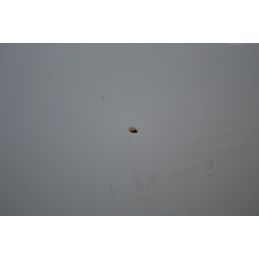Portiera Sportello DX Fiat 500 dal 2007 in poi  1698046625661