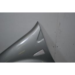 Parafango anteriore SX Dacia Sandero Dal 2008 al 2012 Colore grigio  1698921001214