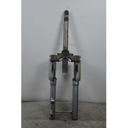 Forcella Aprilia Scarabeo 250 Dal 1996 al 2006 Motore Piaggio  1699458690889