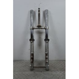 Forcella Kawasaki ZR-7 Dal 1999 Al 2004  1699864706617