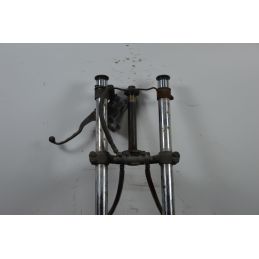 Forcella Completa Di Impianto Frenante Kawasaki GPZ 550 Dal 1978 Al 1990  1699950430013