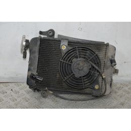Radiatore + Elettroventola Honda SH 300 dal 2006 al 2010  1700218347506