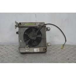Radiatore + Elettroventola Honda Pantheon 125 / 150 Dal 2003 al 2008  1700219274740