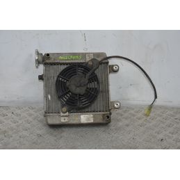 Radiatore + Elettroventola Honda Pantheon 125 / 150 Dal 1998 al 2002  1700219274740