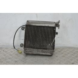 Radiatore + Elettroventola Honda Pantheon 125 / 150 Dal 1998 al 2002  1700219274740