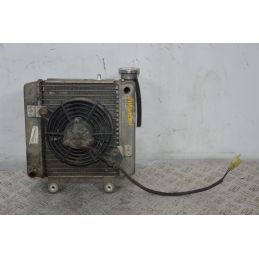 Radiatore + Elettroventola Honda Pantheon 125 / 150 Dal 1998 al 2002  1700471674210