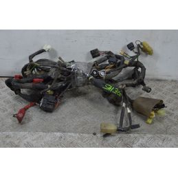 Cablaggio Impianto Elettrico Honda Sh 300 Dal 2006 al 2010  1700578572976