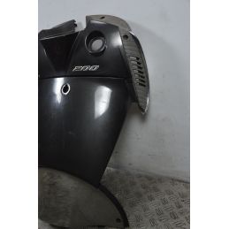 Carena Retroscudo Aprilia Scarabeo Light 200 dal 2007 al 2013  1701430173324