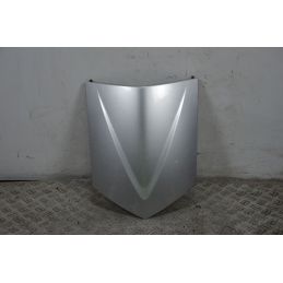 Carena Scudetto Anteriore Honda Foresight 250 dal 1998 al 2004  1702395322130