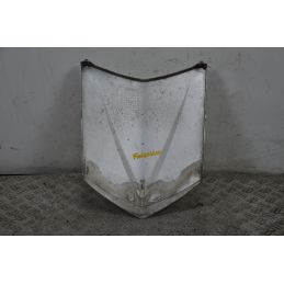 Carena Scudetto Anteriore Honda Foresight 250 dal 1998 al 2004  1702395322130