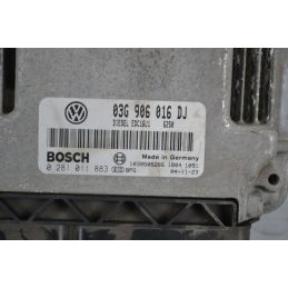 Centralina ECU Skoda Octavia II Dal 2004 al 2010 Cod 03G906016DJ 105CV/77KW 1.9 TDI diesel  1702549823995