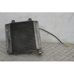 Radiatore + Elettroventola Honda Pantheon 125 / 150 Dal 1998 al 2002  1703166956882