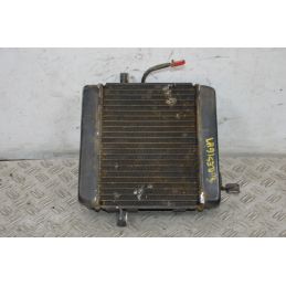 Radiatore + Elettroventola Honda Foresight 250 dal 1998 al 2004  1704278748181