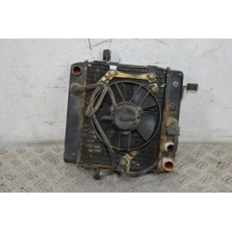 Radiatore + Elettroventola Honda Foresight 250 dal 1998 al 2004  1704278748181