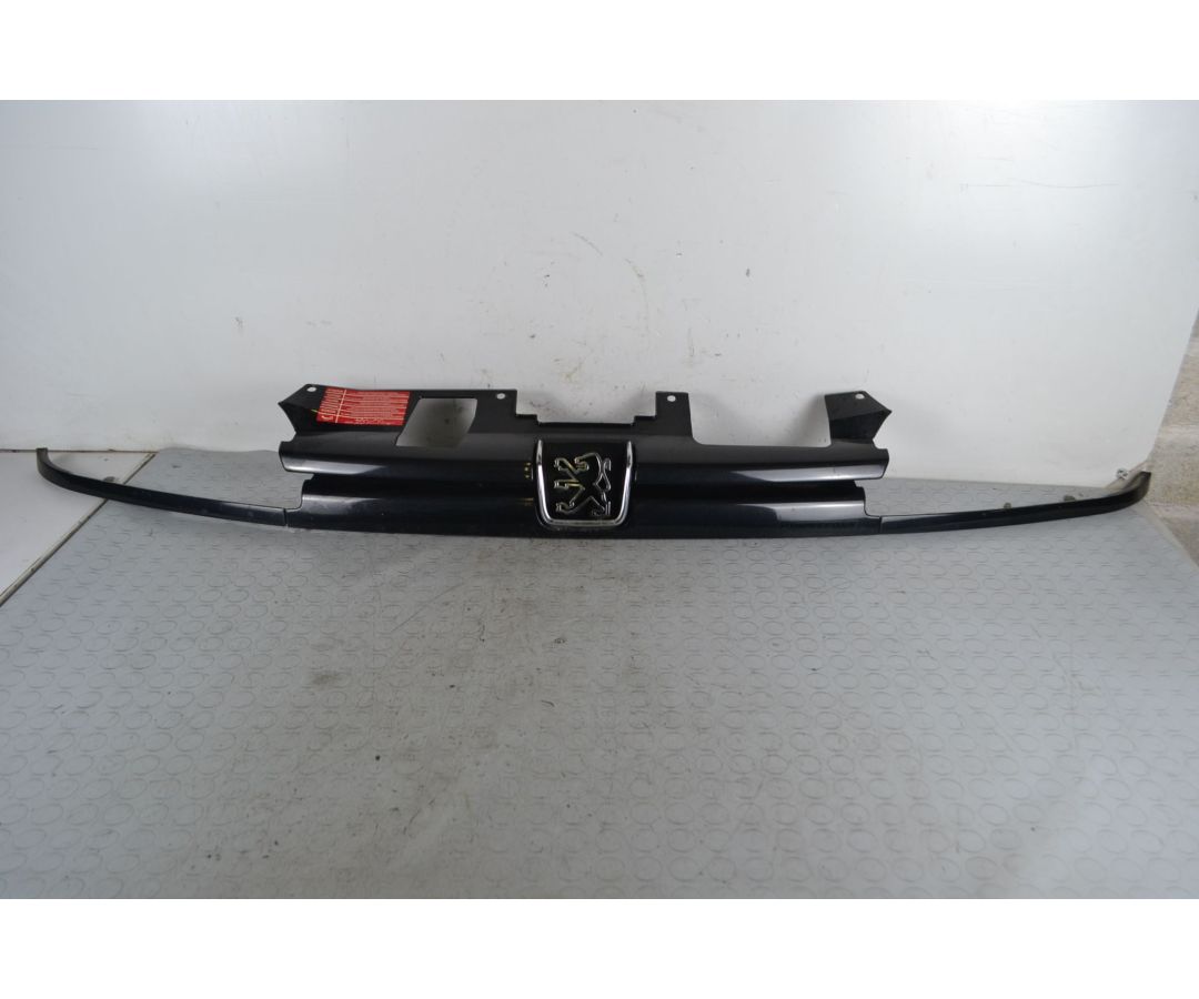 Griglia Anteriore Peugeot 306 Cabriolet dal 10/1992 al 12/1996 Cod 9621133177 Cod Motore LFZ  1704986500804