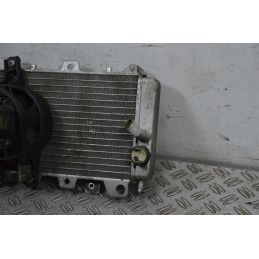 Radiatore Con Elettroventola Gilera Runner 125 Vx Dal 2001 al 2005  1706795290563