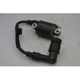 Bobina Accensione Honda SH 125 / 150 ie ABS dal 2017 al 2018  1707304423311