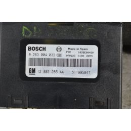 Body computer + centralina sensori parcheggio Saab 9-3 SW Dal 08/2002 al 2014 Cod 519161202 OEM 0263004033  1707478602024