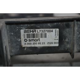 Elettroventola Smart ForTwo W451 dal 2007 al 2015 Cod A4515000600  1708442880707