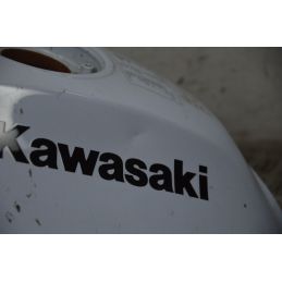 Serbatoio Benzina Kawasaki ER-6N dal 2009 al 2011  1708955405206