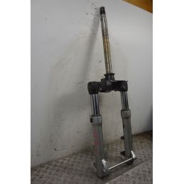 Forcella Aprilia Scarabeo 500 Doppio Disco dal 2007 al 2012  1709541608919