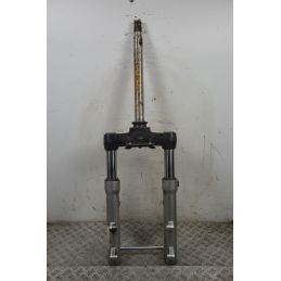 Forcella Aprilia Scarabeo 500 Doppio Disco dal 2007 al 2012  1709541608919