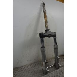 Forcella Aprilia Scarabeo 500 Doppio Disco dal 2007 al 2012  1709541608919