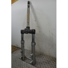Forcella Aprilia Scarabeo 500 Doppio Disco dal 2007 al 2012  1709541608919