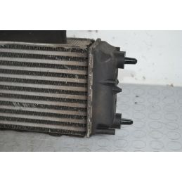 Radiatore intercooler Ford Fiesta VI Dal 2012 al 2017 Cod Av21-9L440-AC  1709801334077