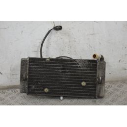 Radiatore + Elettroventola Yamaha X-Max XMax 250 Dal 2010 al 2013  1710432110787
