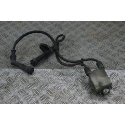 Bobina Accensione Honda VT 750 Shadow Dal 2004 al 2005  1710845408433