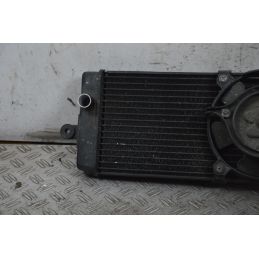 Radiatore Con Elettroventola Honda VT 750 Shadow Dal 2004 al 2005  1710927336777