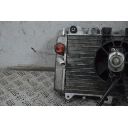 Radiatore Con Elettroventola Piaggio X9 125 dal 1999 al 2002  1711468134648