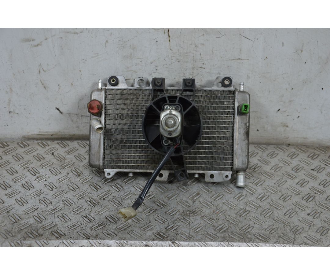 Radiatore Con Elettroventola Piaggio X9 125 dal 1999 al 2002  1711468134648