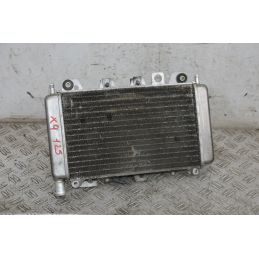 Radiatore Con Elettroventola Piaggio X9 125 dal 1999 al 2002  1711468134648