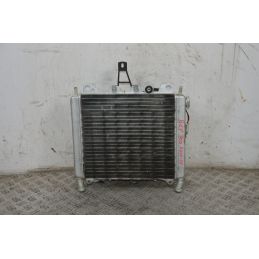 Radiatore Con Elettroventola Piaggio Beverly 500 Dal 2002 al 2006  1711469650581