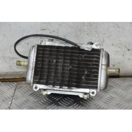 Radiatore + Elettroventola Piaggio Vespa GTS 250 Dal 2005 al 2012  1711616852318